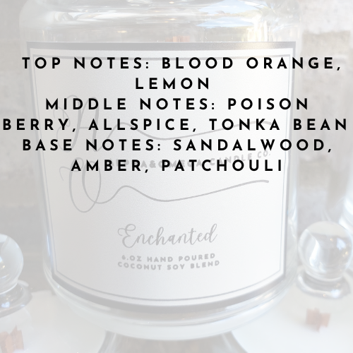 Enchanted 6 oz Coconut Soy Blend