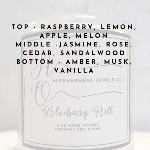 Blueberry Hill 6 oz Coconut Soy Blend